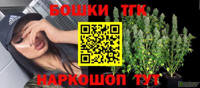 Альфа ПВП Будённовск