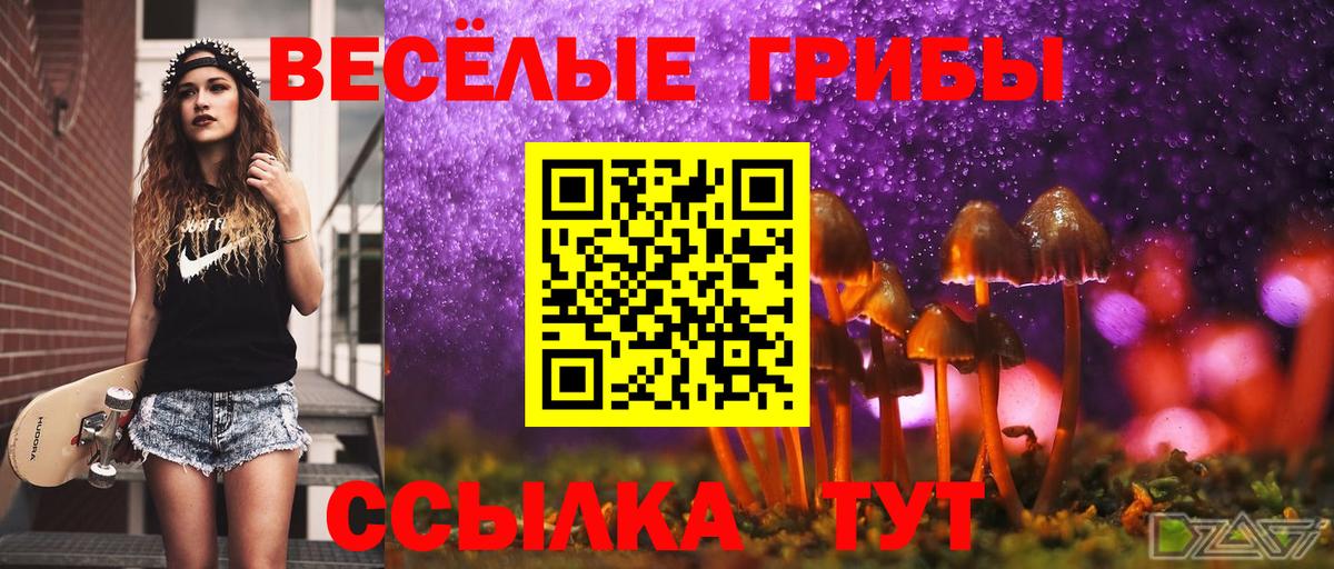 Петропавловск-Камчатский  Псилоцибиновые грибы ЛСД  Галлюциногенные грибы GOLDEN TEACHER  Вход с VPN 